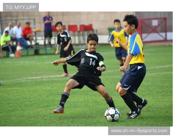 “青少年足球训练系统全面升级，注重身体素质与战术培养”，青少年足球信息管理系统